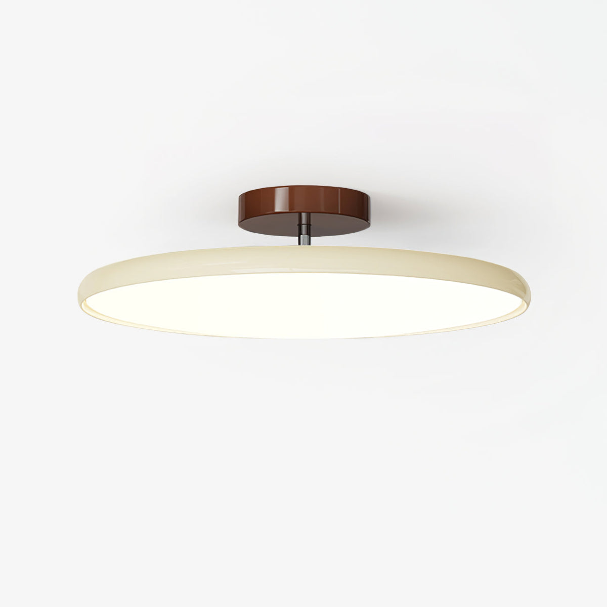 Coloured Adjustable Ceiling Light